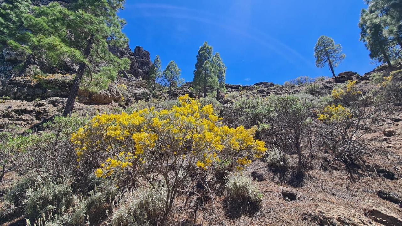 Puerto Rico Top Teide And Amadores View Exteriér fotografie